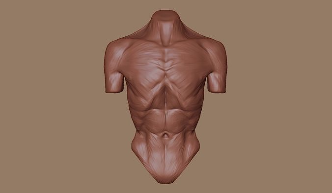 Zombie body Anatomy 3D print model