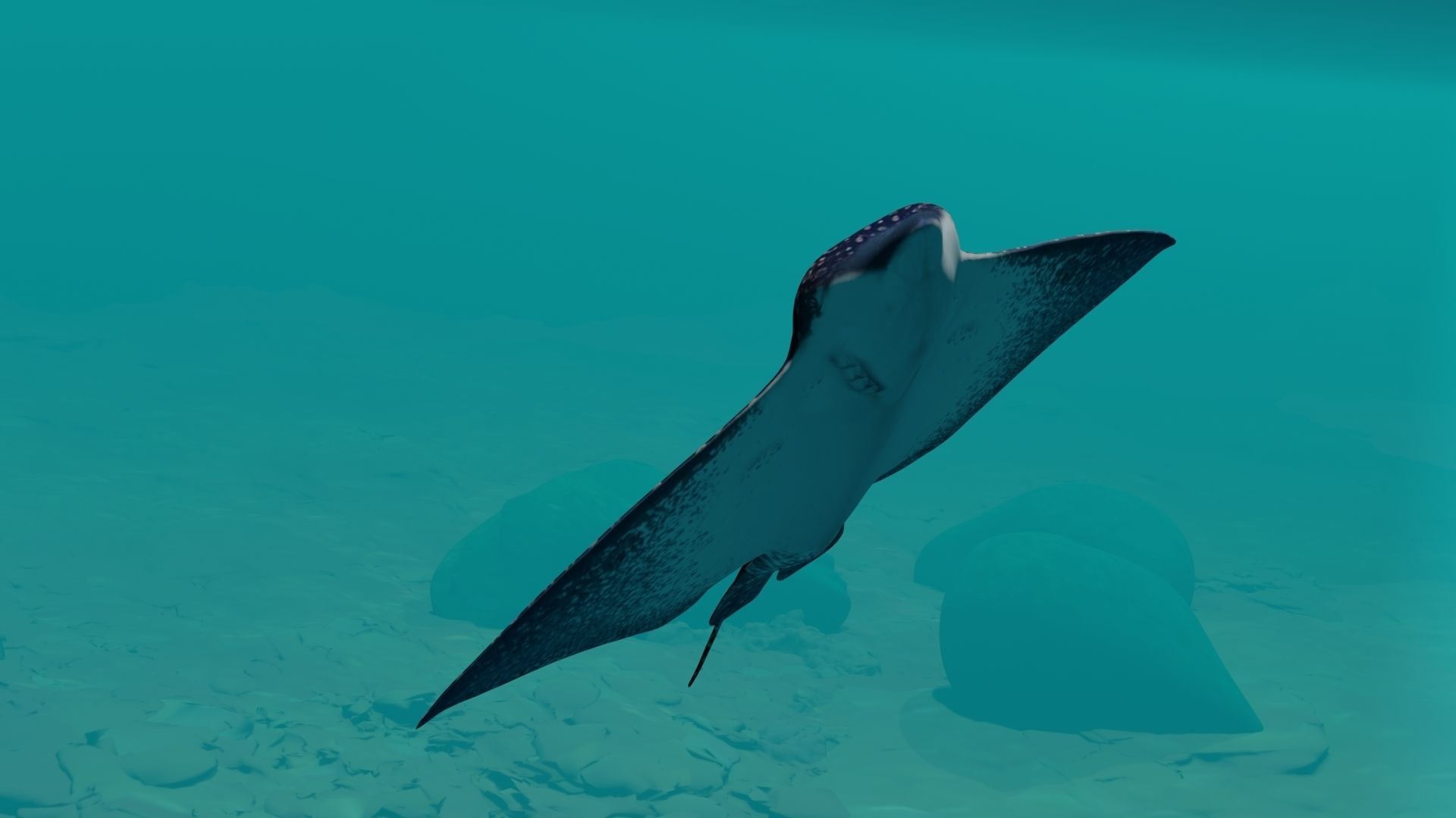 Eagle Ray  animated Low-poly 3D model_12