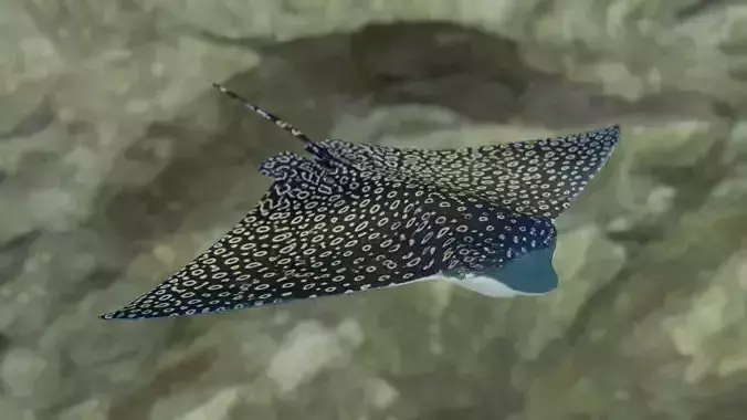Eagle Ray  animated Low-poly 3D model