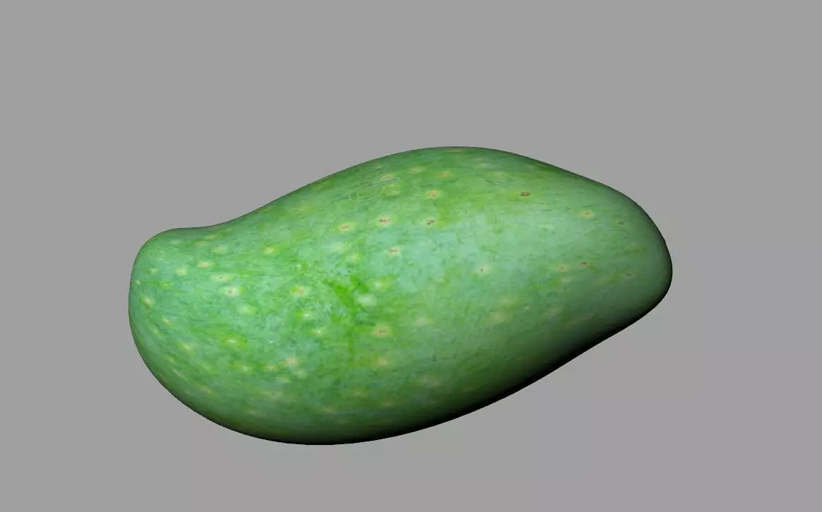 3d modelling manggo Free 3D model