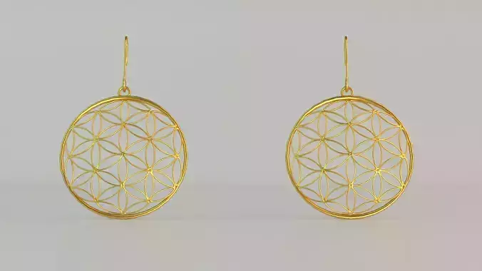 Hanging Ear Rings 16