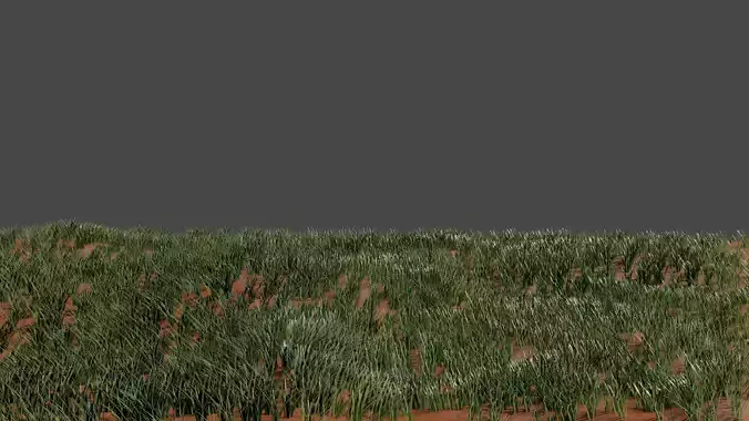 Grass lowpoly 3d model grassy field in desert