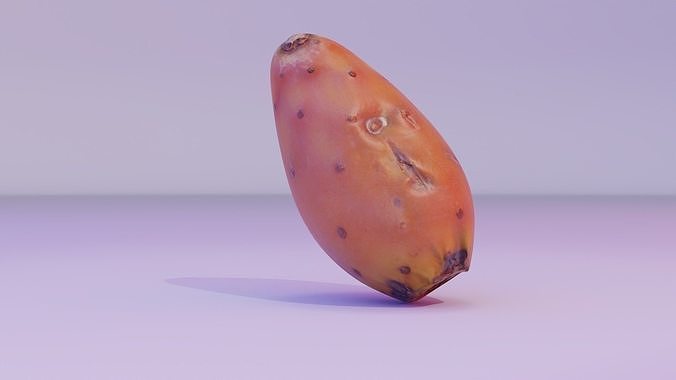 Prickly pear 03 Low-poly 3D model 7