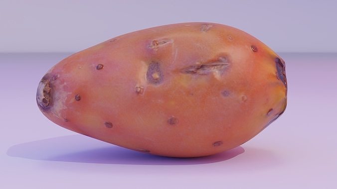 Prickly pear 03 Low-poly 3D model 3