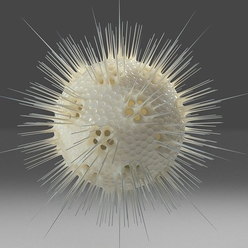 Radiolarian 2 ball with spikes 3D model