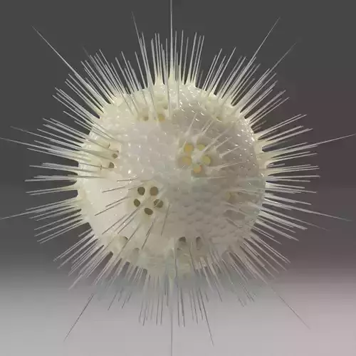 Radiolarian 2 ball with spikes