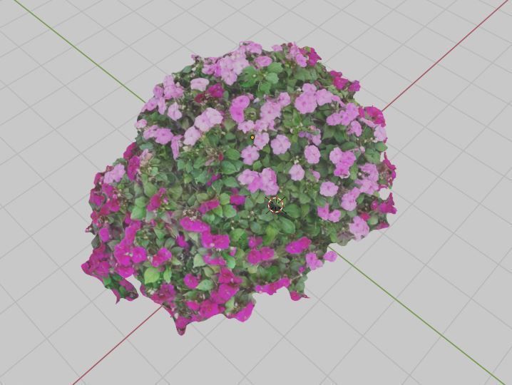 Pink flowers - scanned 3D model_3