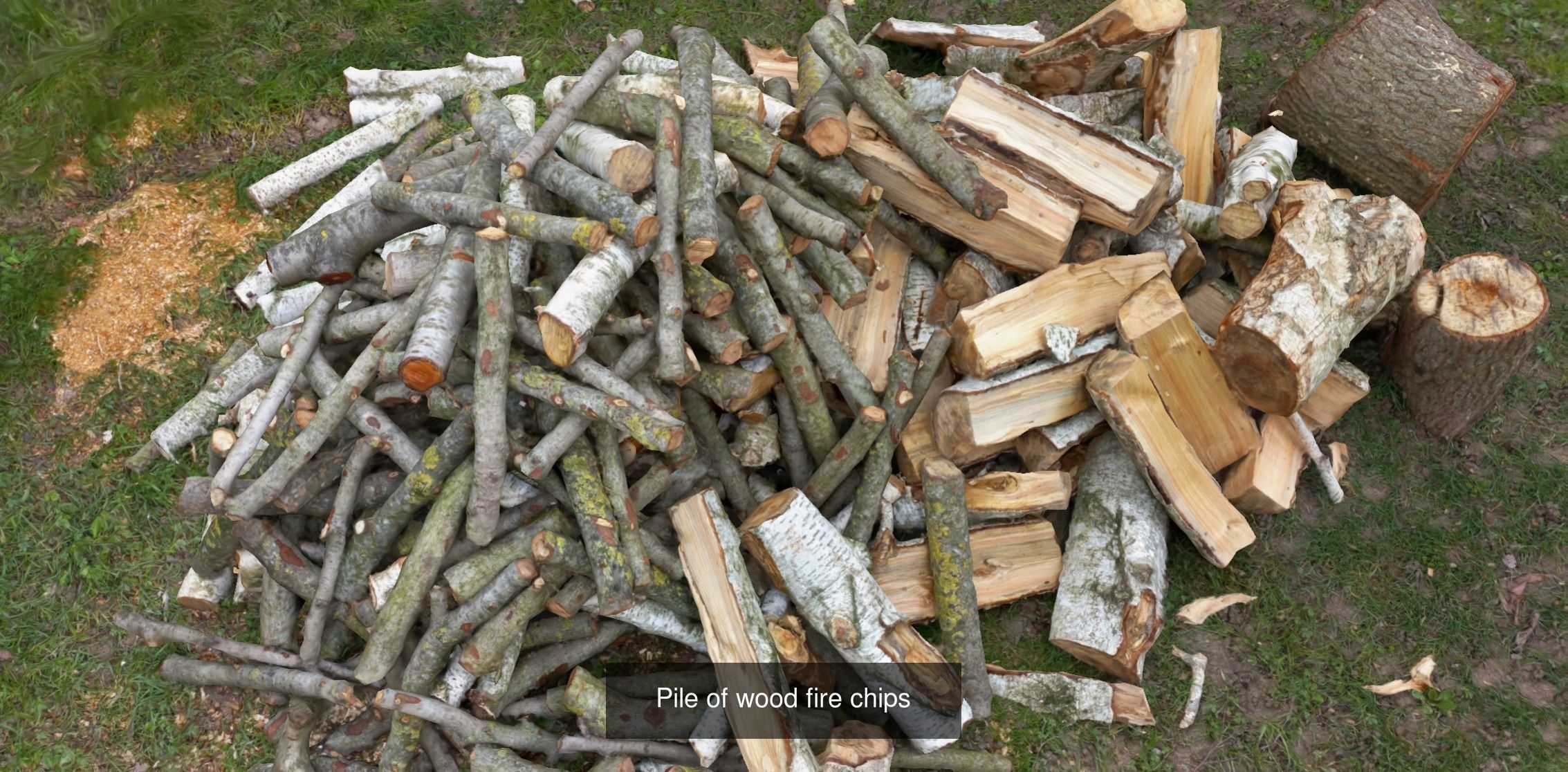 The Green Pack 3D Model Collection_2