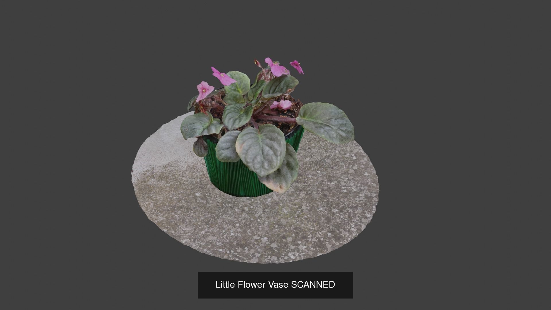 The Green Pack 3D Model Collection_13