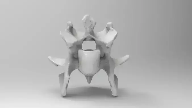 Backbone 1 ceramic sculpture