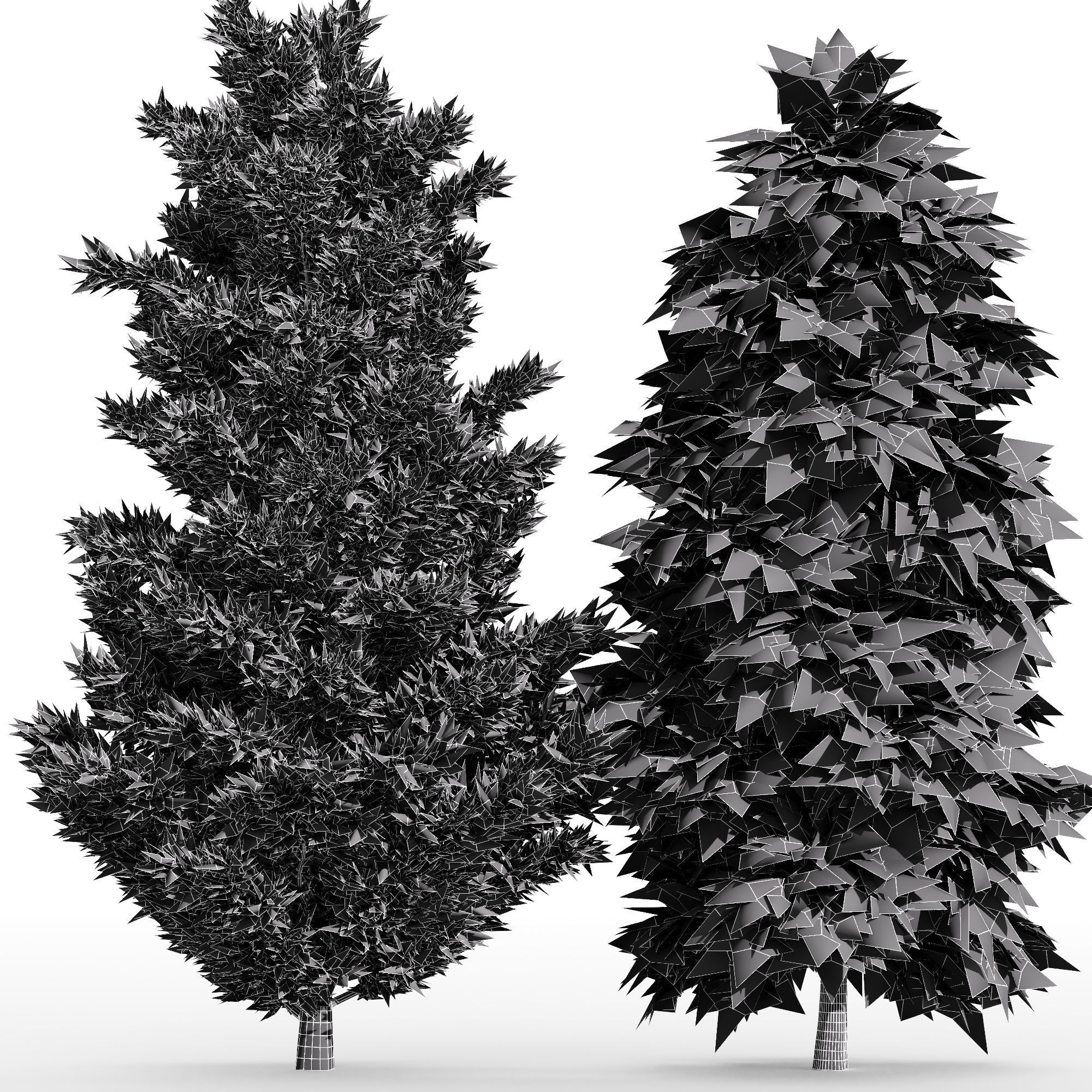 4 tree Leyland Cypress Tree Slender Hinoki Cypress 3D model_3