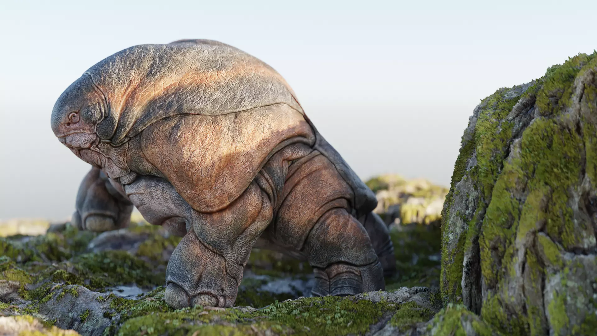 Hipomut 2021 Low-poly 3D model_0