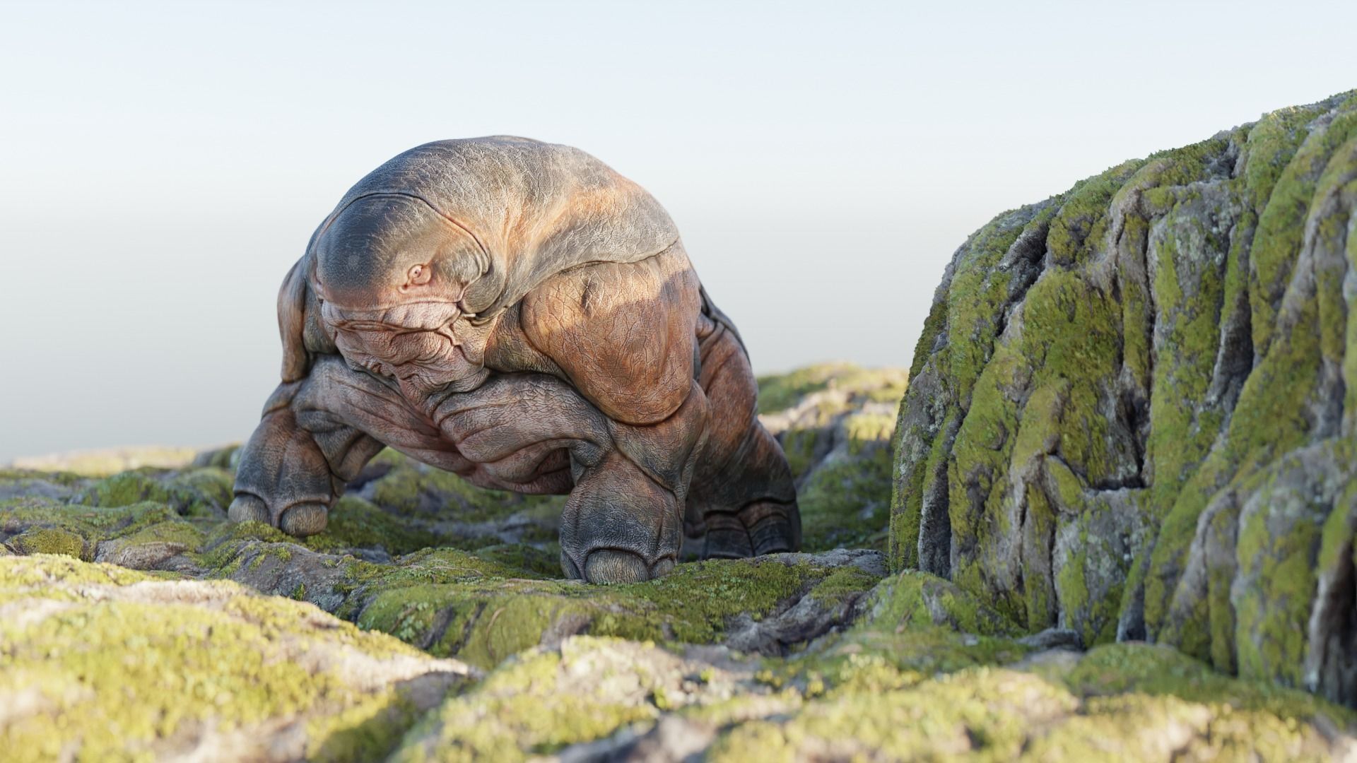 Hipomut 2021 Low-poly 3D model_2