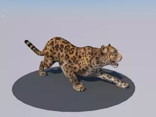 tiger animations Low-poly 3D model_0
