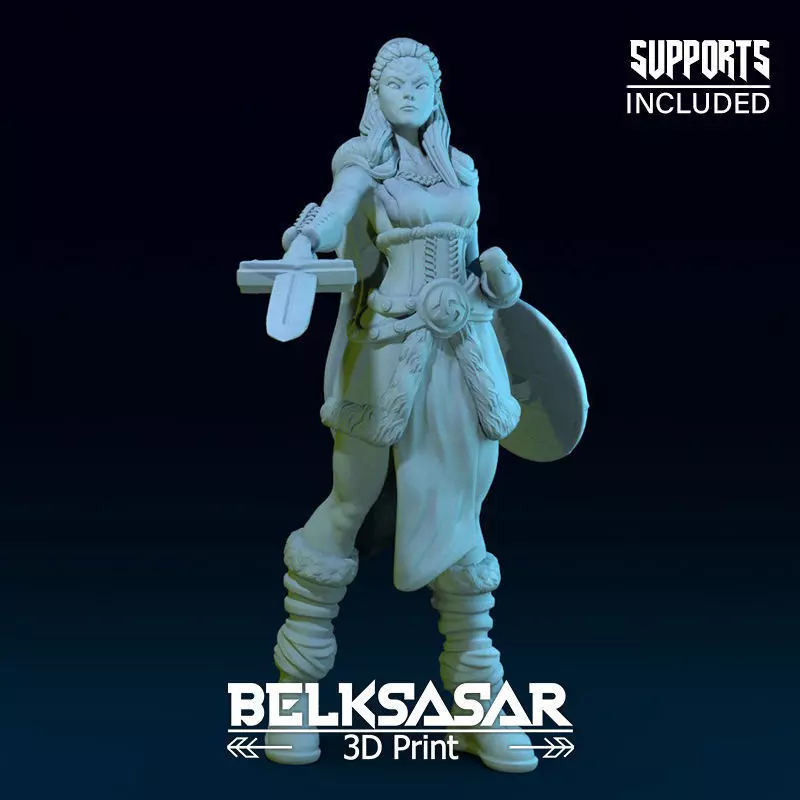 Challenger Viking 3D print model_0