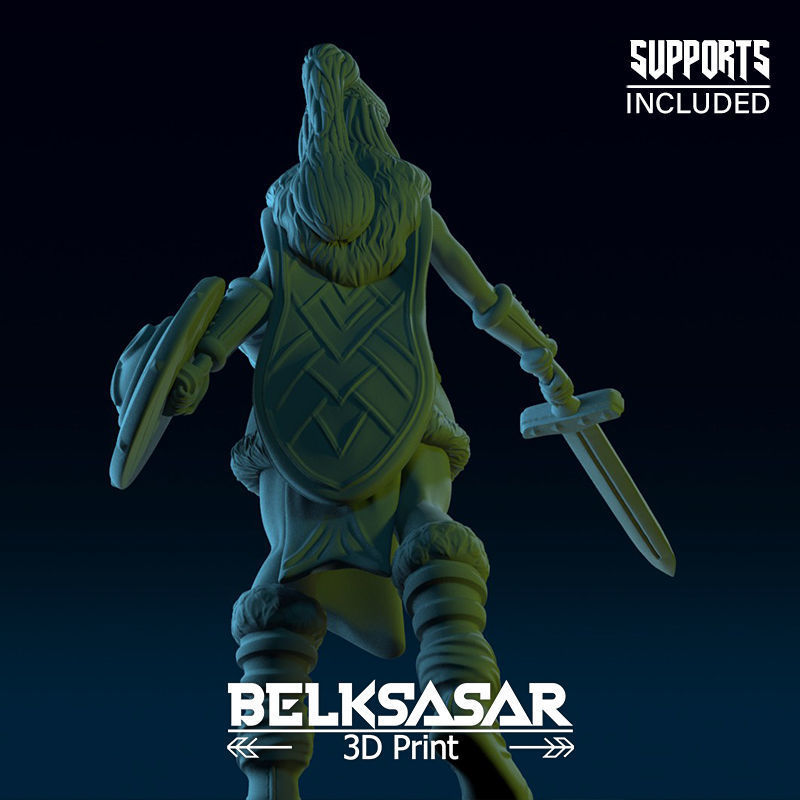 Challenger Viking Normal and Nude  3D print model_40