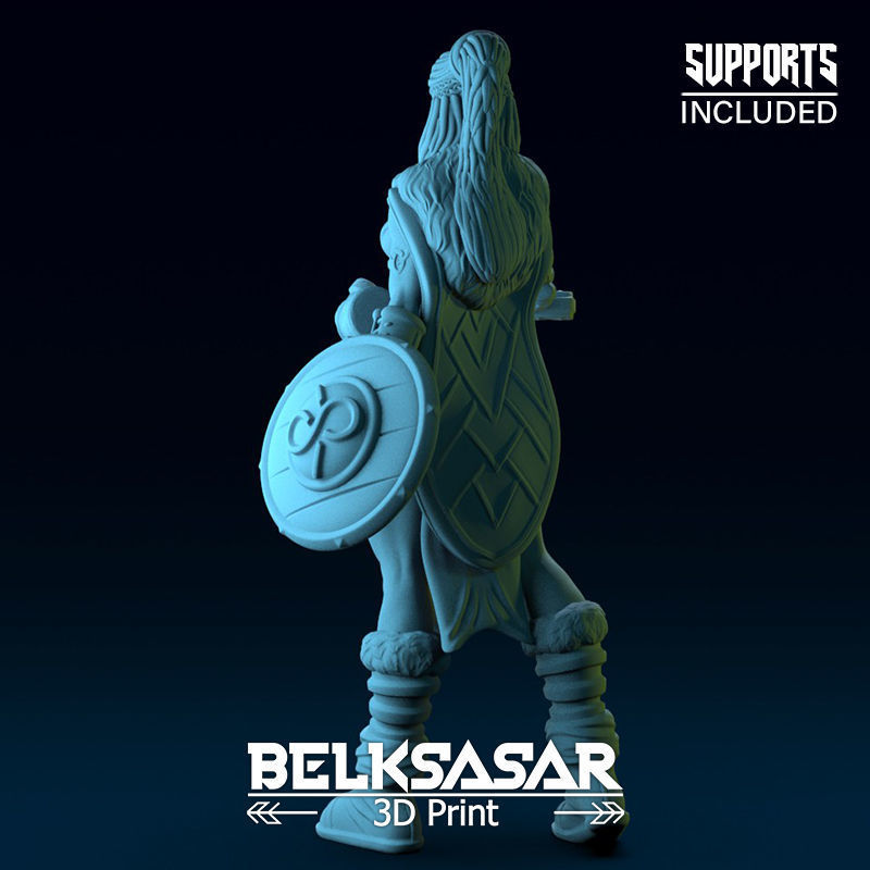 Challenger Viking Normal and Nude  3D print model_10