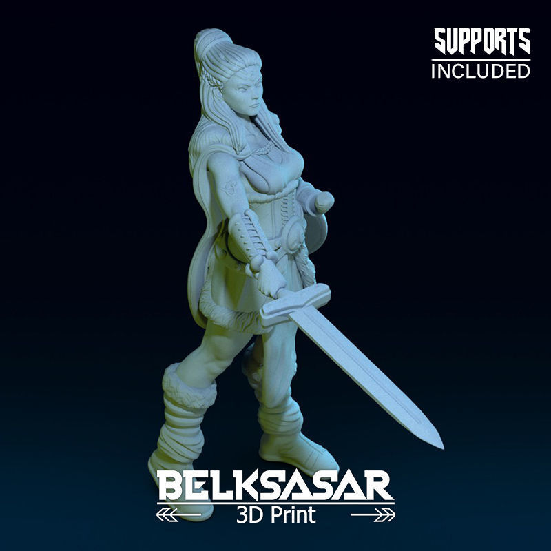 Challenger Viking Normal and Nude  3D print model_30