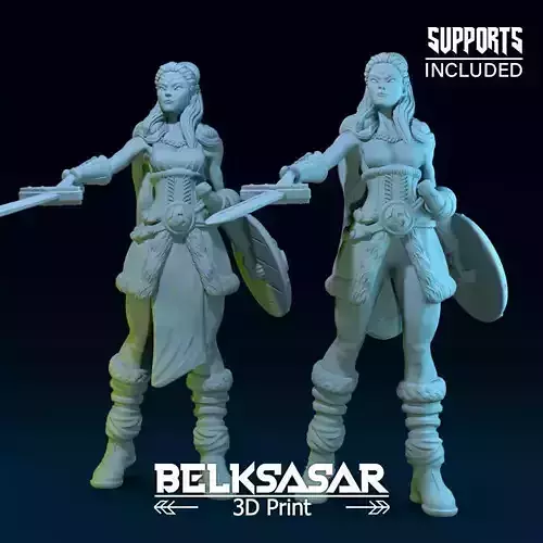 Challenger Viking Normal and Nude  3D print model