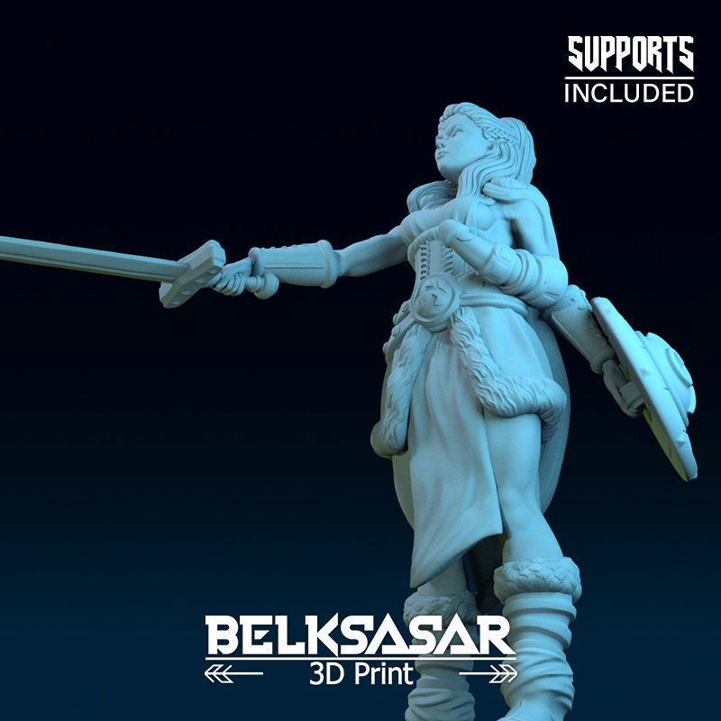 Challenger Viking Normal and Nude  3D print model_38