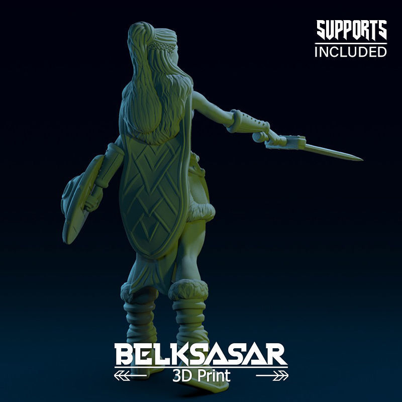 Challenger Viking Normal and Nude  3D print model_12