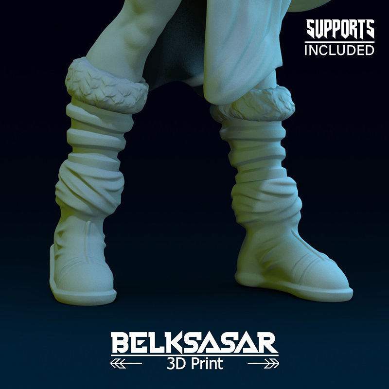 Challenger Viking Normal and Nude  3D print model_22
