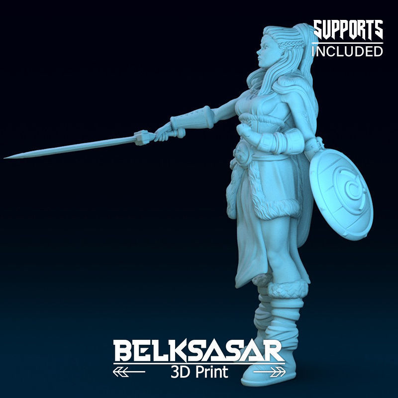 Challenger Viking Normal and Nude  3D print model_6