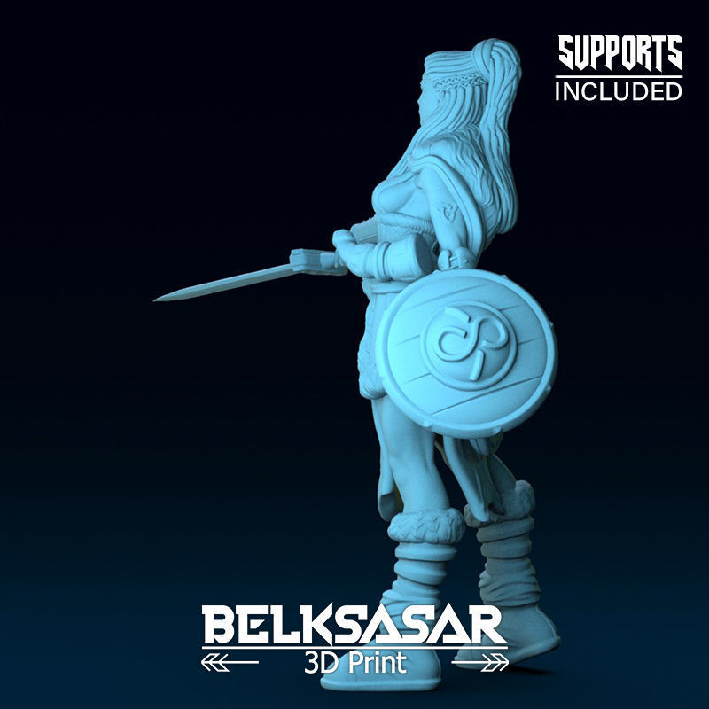 Challenger Viking Normal and Nude  3D print model_8