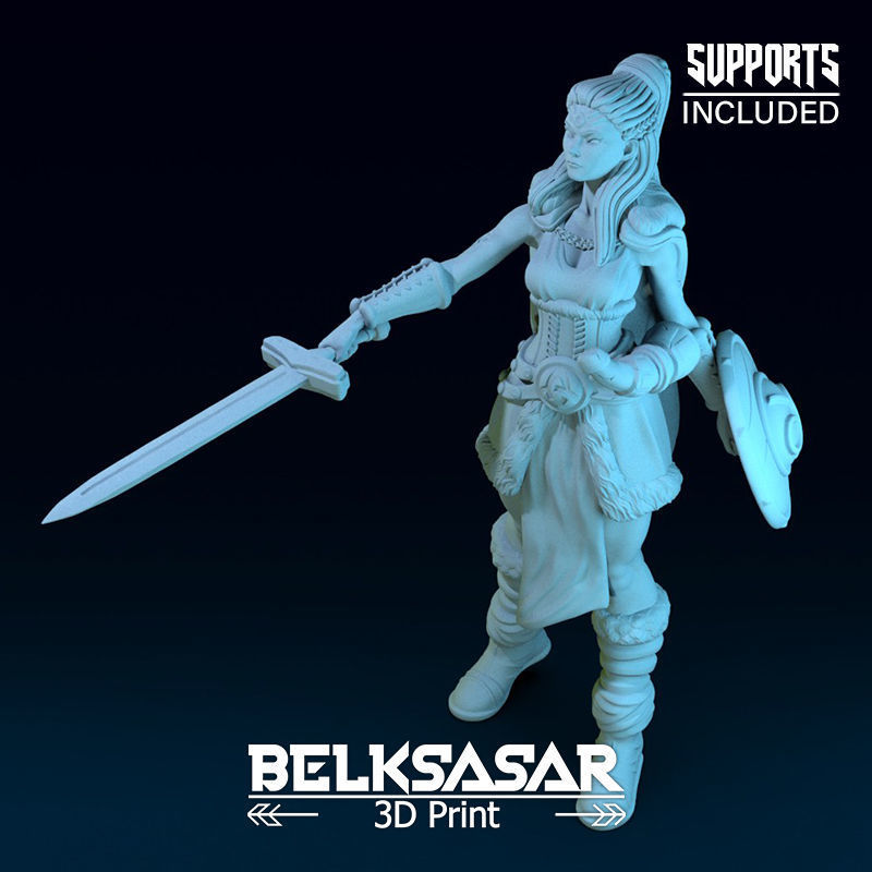 Challenger Viking Normal and Nude  3D print model_32