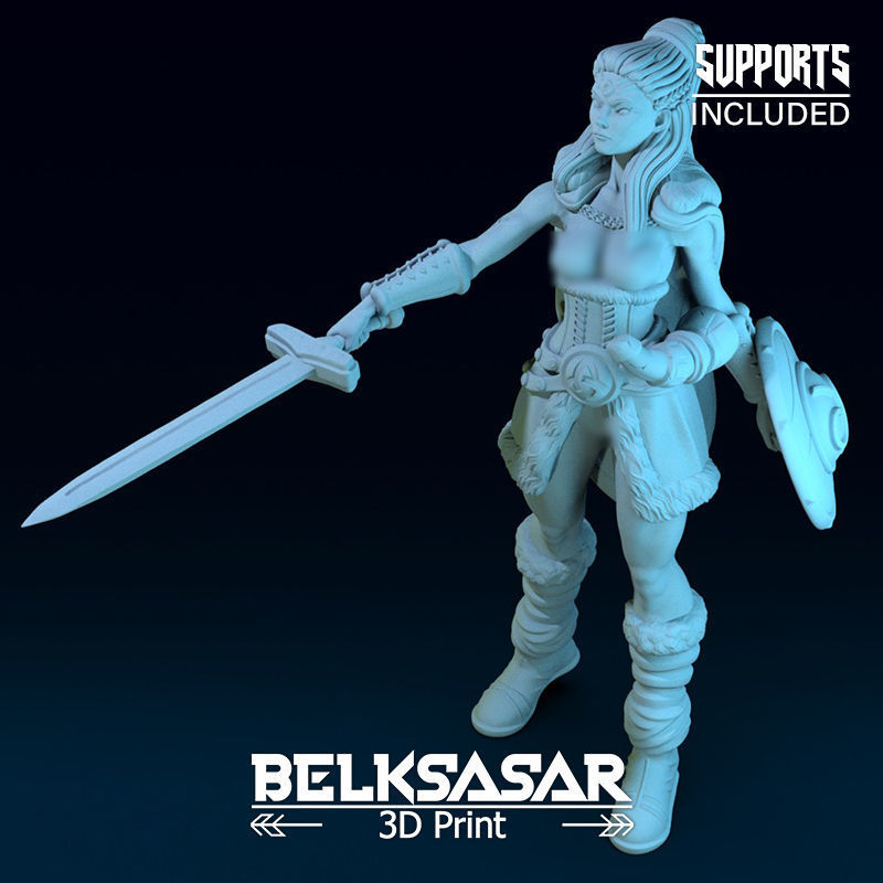 Challenger Viking Normal and Nude  3D print model_31