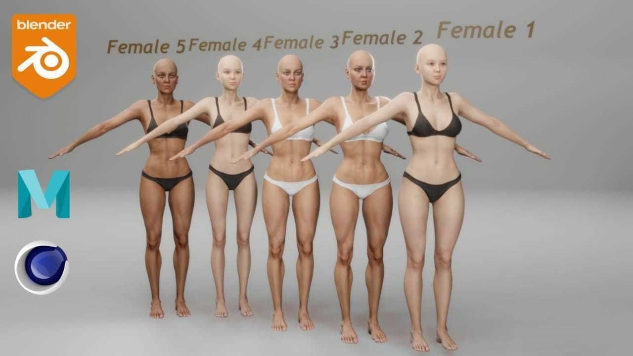 Realistic base mesh Low-poly 3D model_46