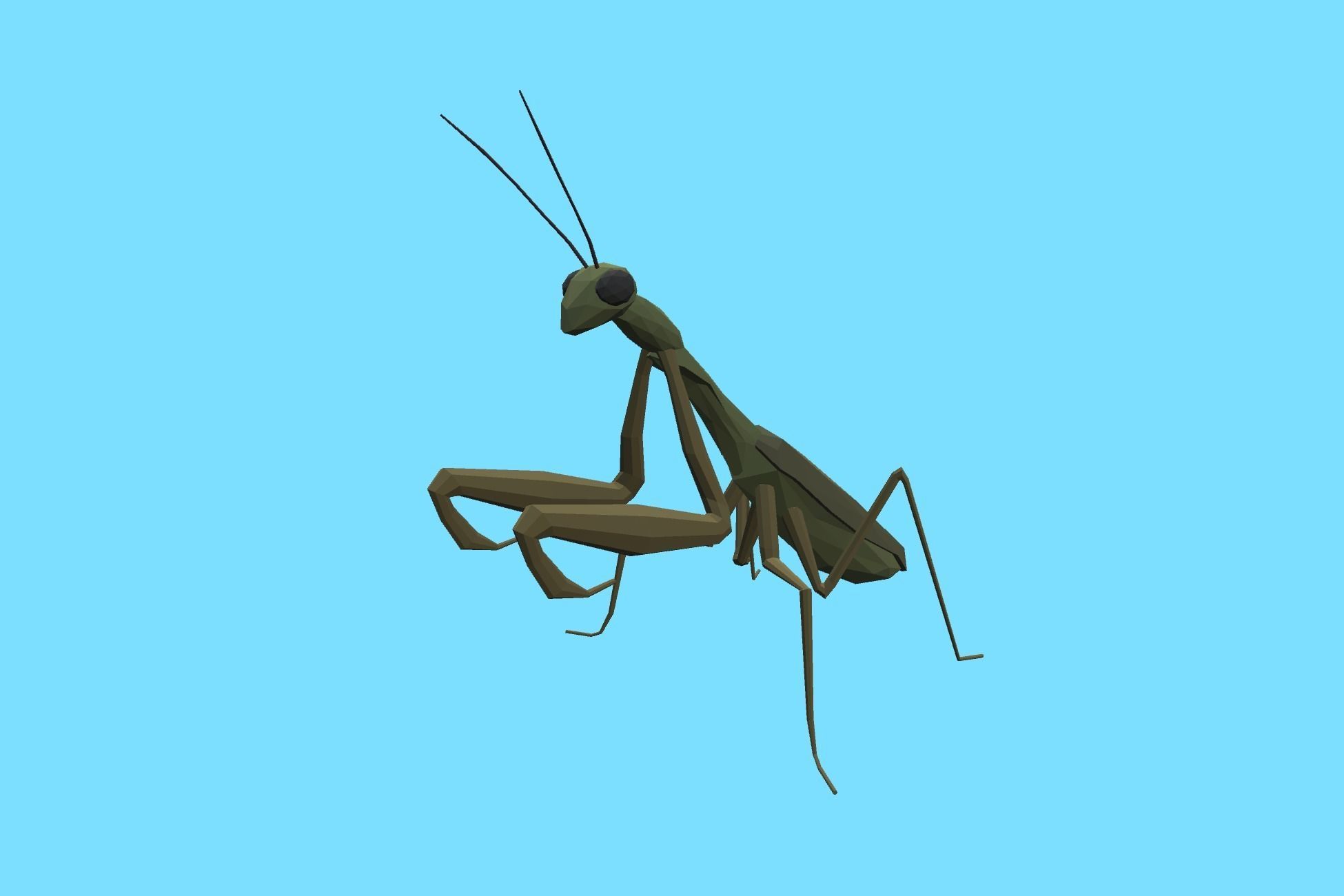 9t5 Low Poly Insects 2 Low-poly 3D model_7