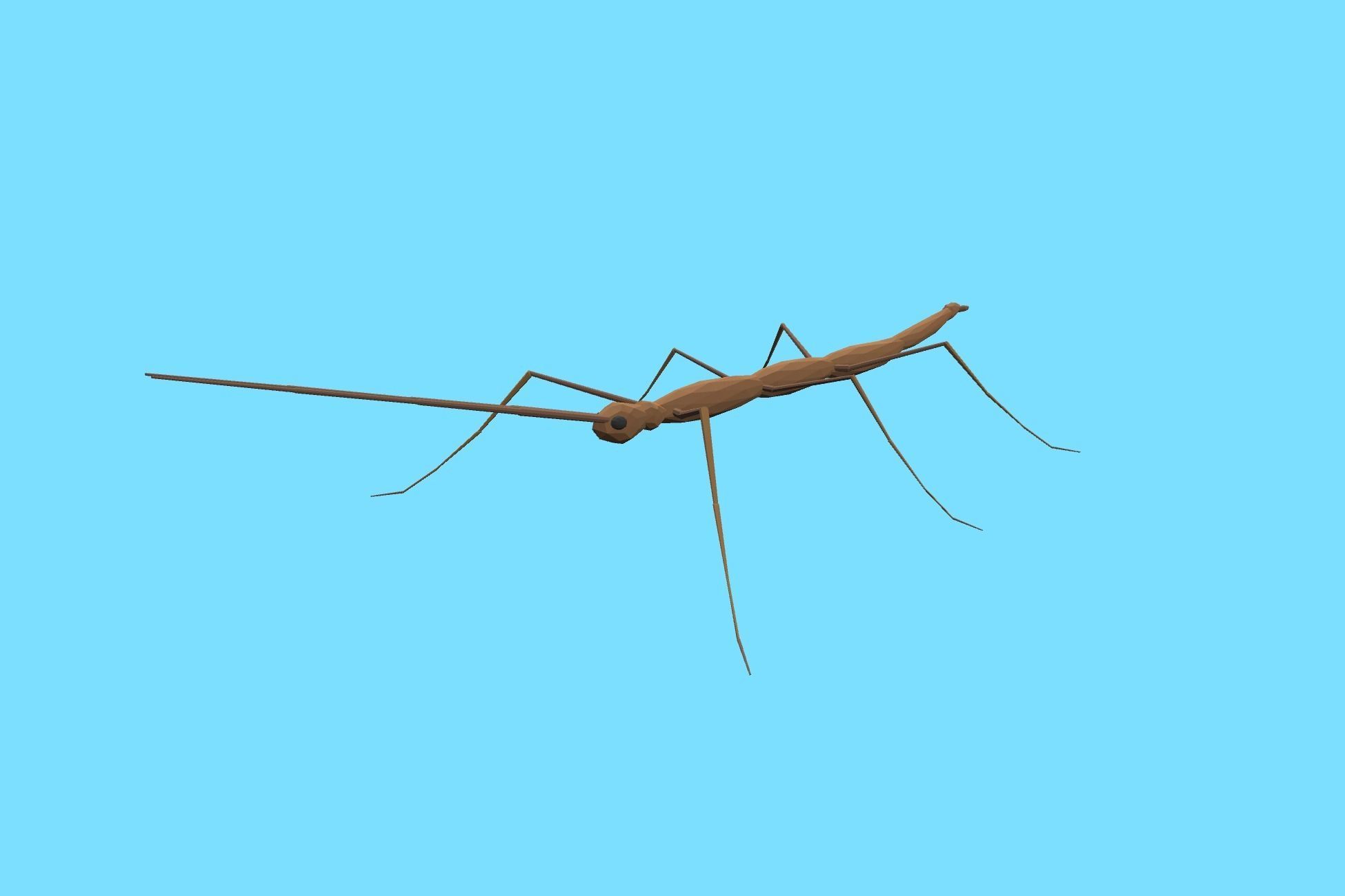 9t5 Low Poly Insects 2 Low-poly 3D model_9