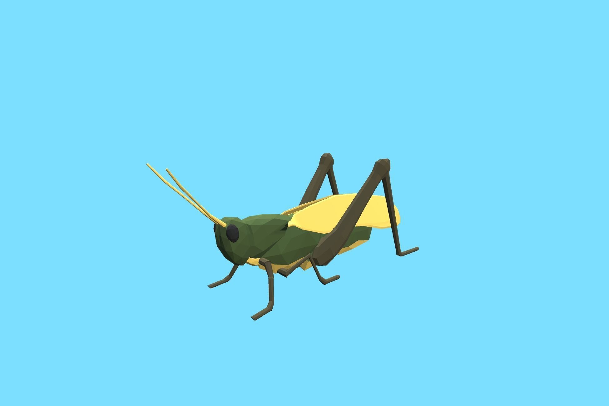 9t5 Low Poly Insects 2 Low-poly 3D model_4
