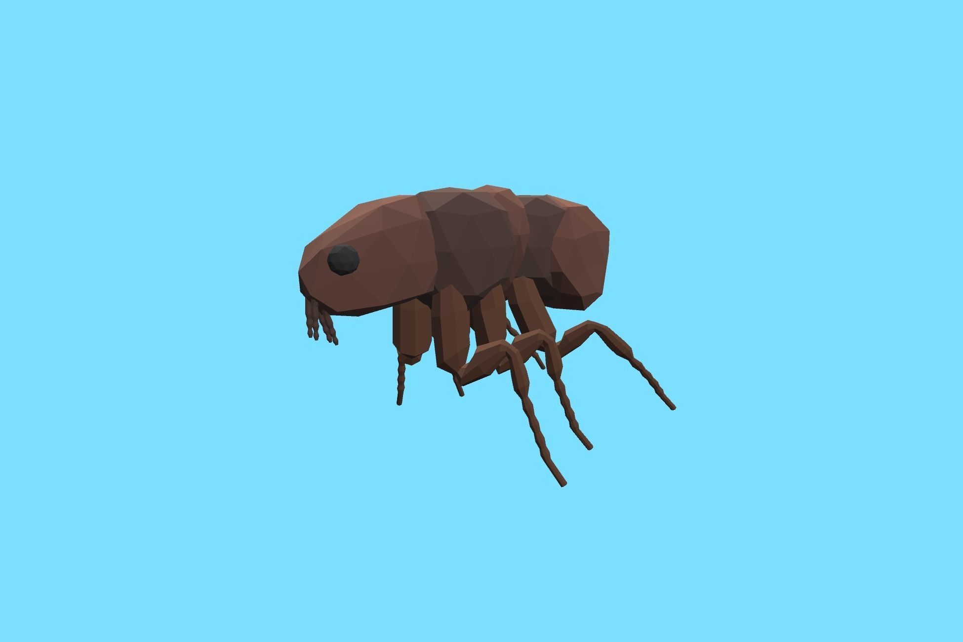 9t5 Low Poly Insects 2 Low-poly 3D model_3