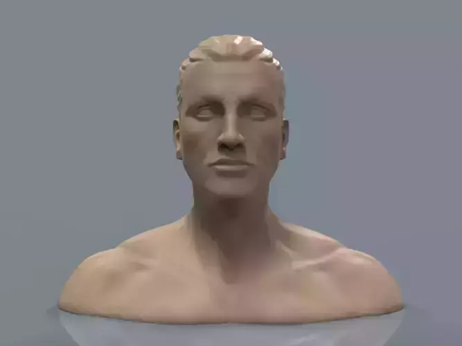 Male Head 6 3D print model