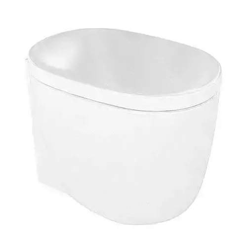 White Toilet Bowl 3D model
