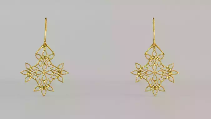 Hanging Ear Rings 37