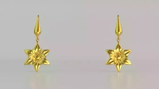 Hanging Ear Rings 38