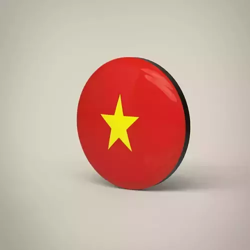 Vietnam Badge