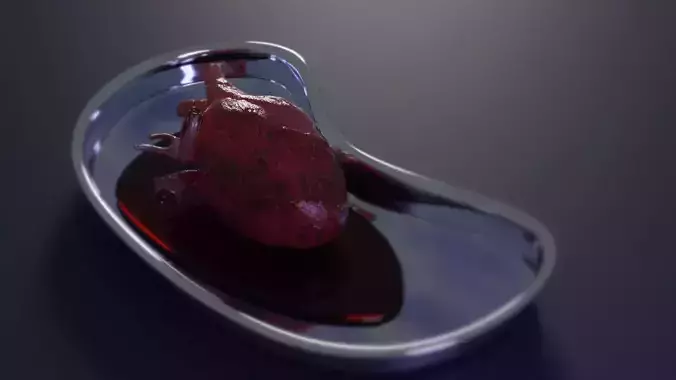 Human Heart Model - low poly