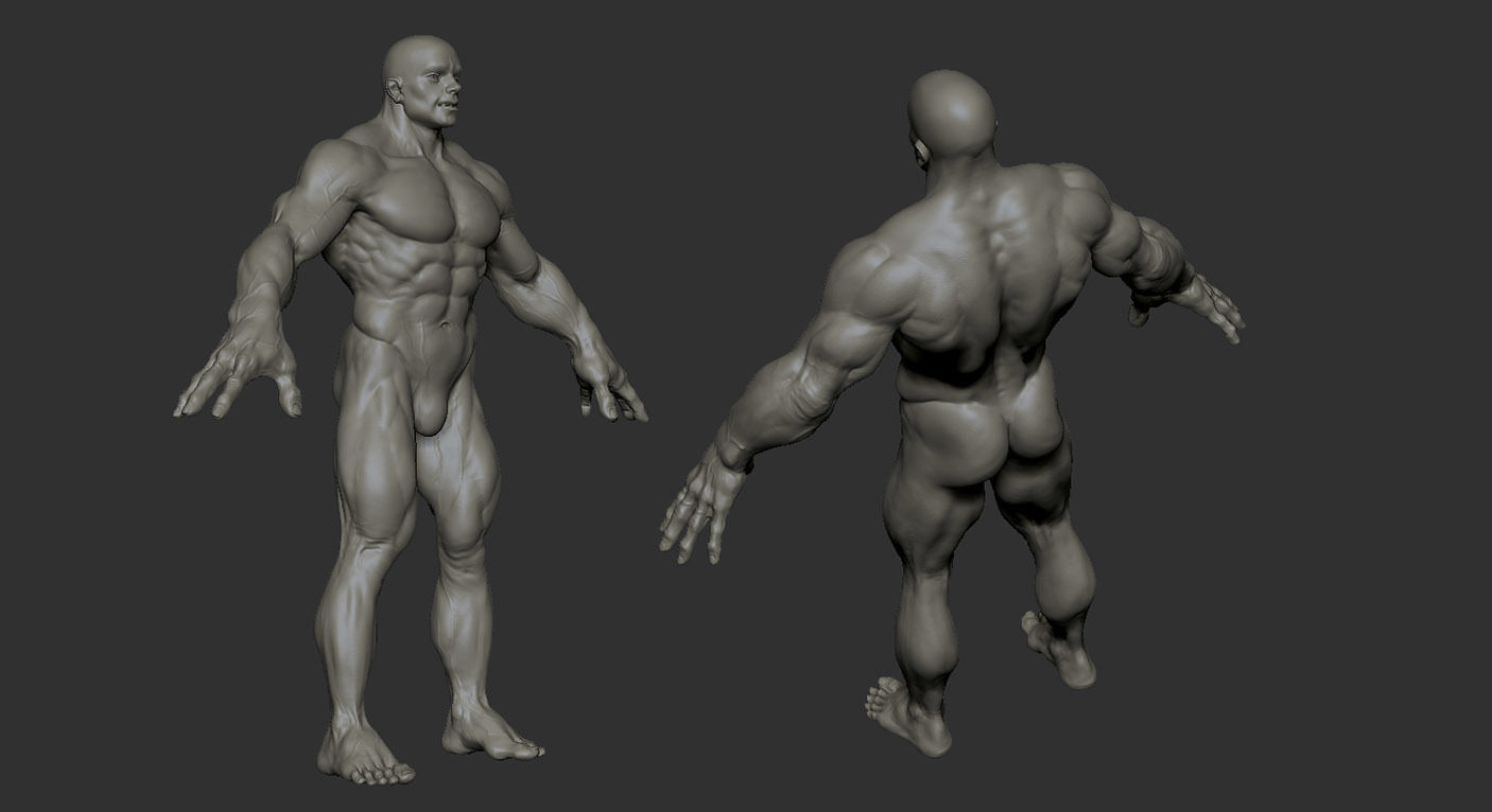 Human muscular man character 3D model_6