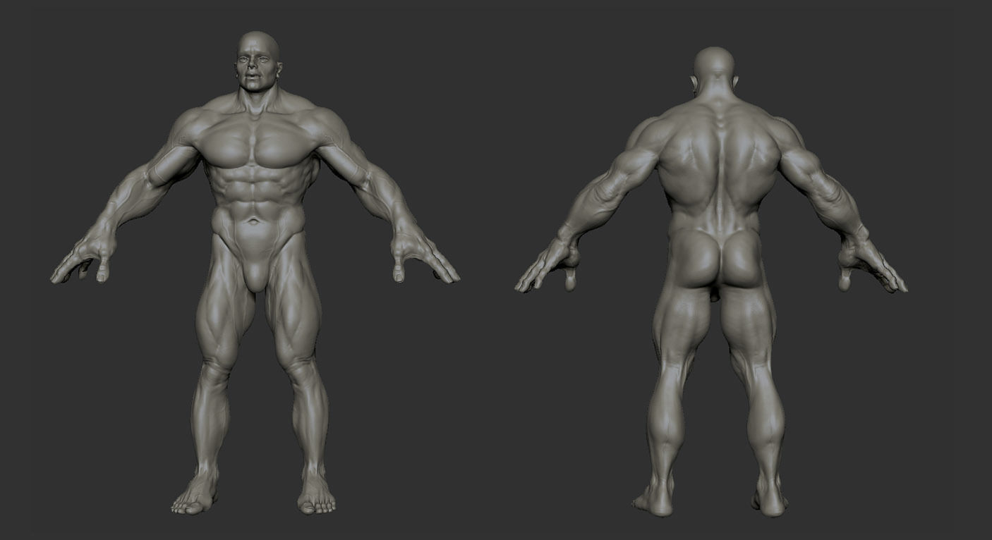 Human muscular man character 3D model_5
