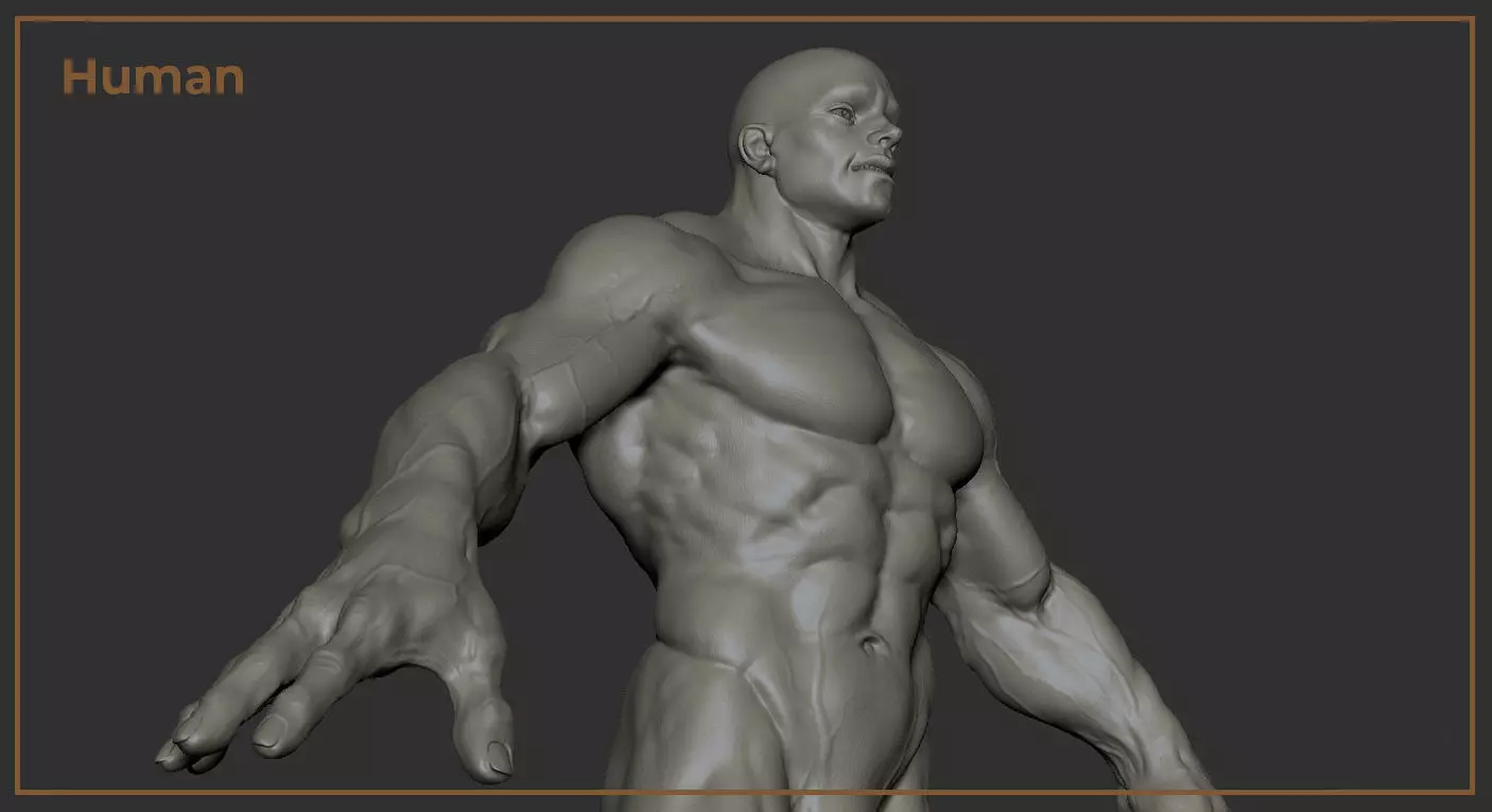 Human muscular man character 3D model_0