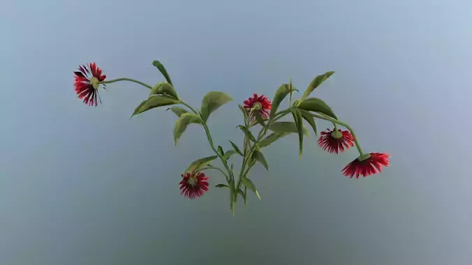 The thirsty flower Low-poly 3D model