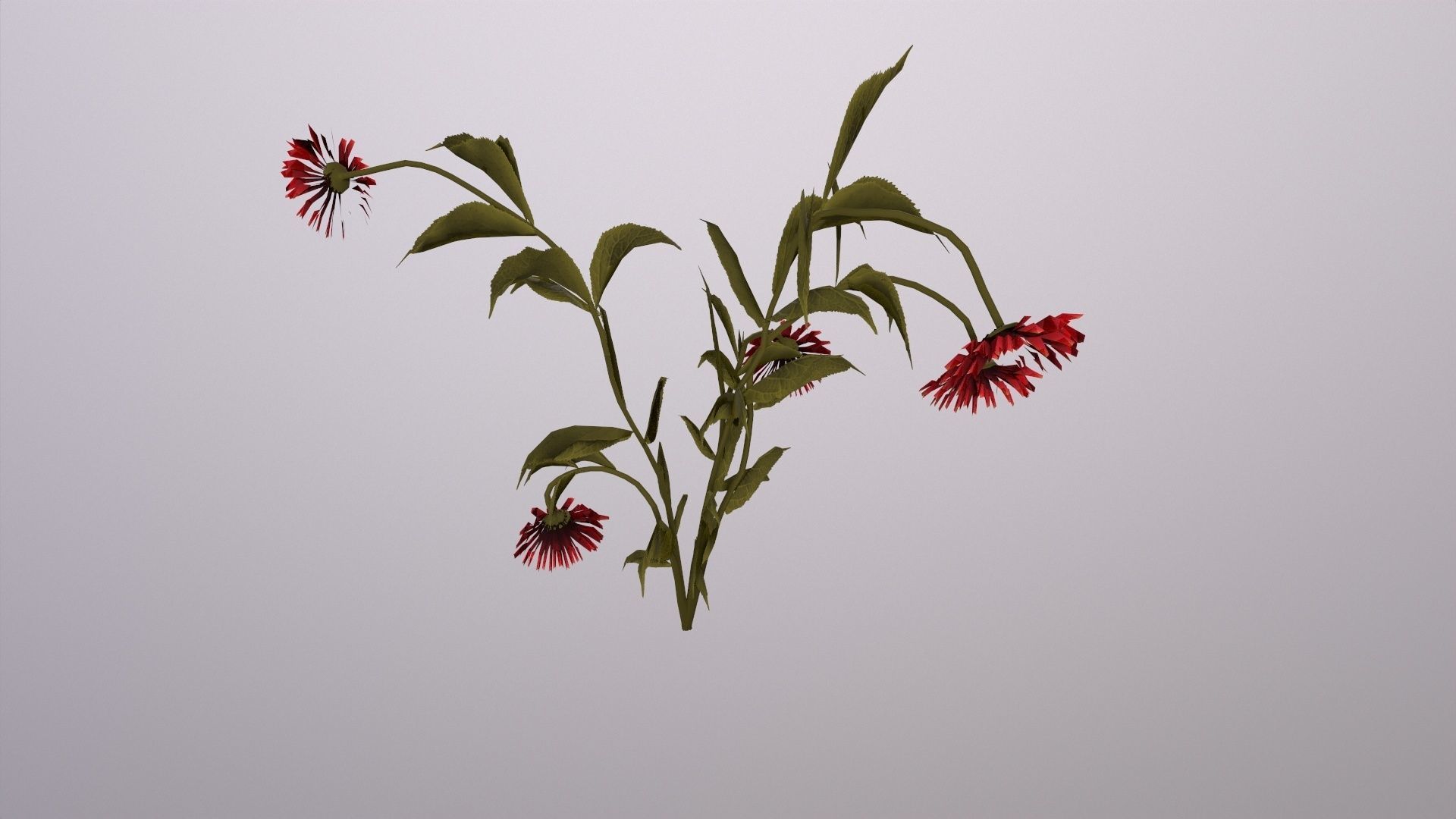 The thirsty flower Low-poly 3D model_5