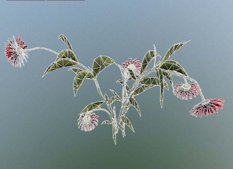 The thirsty flower Low-poly 3D model_7
