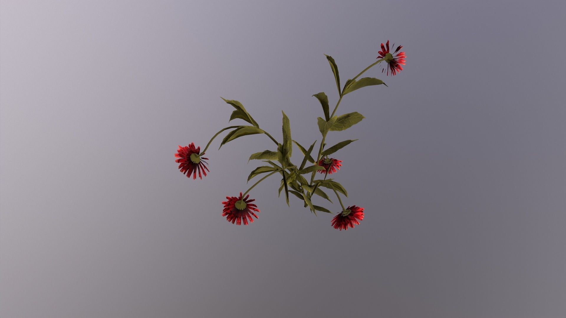 The thirsty flower Low-poly 3D model_6