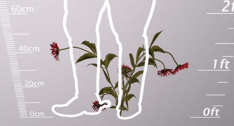 The thirsty flower Low-poly 3D model_3