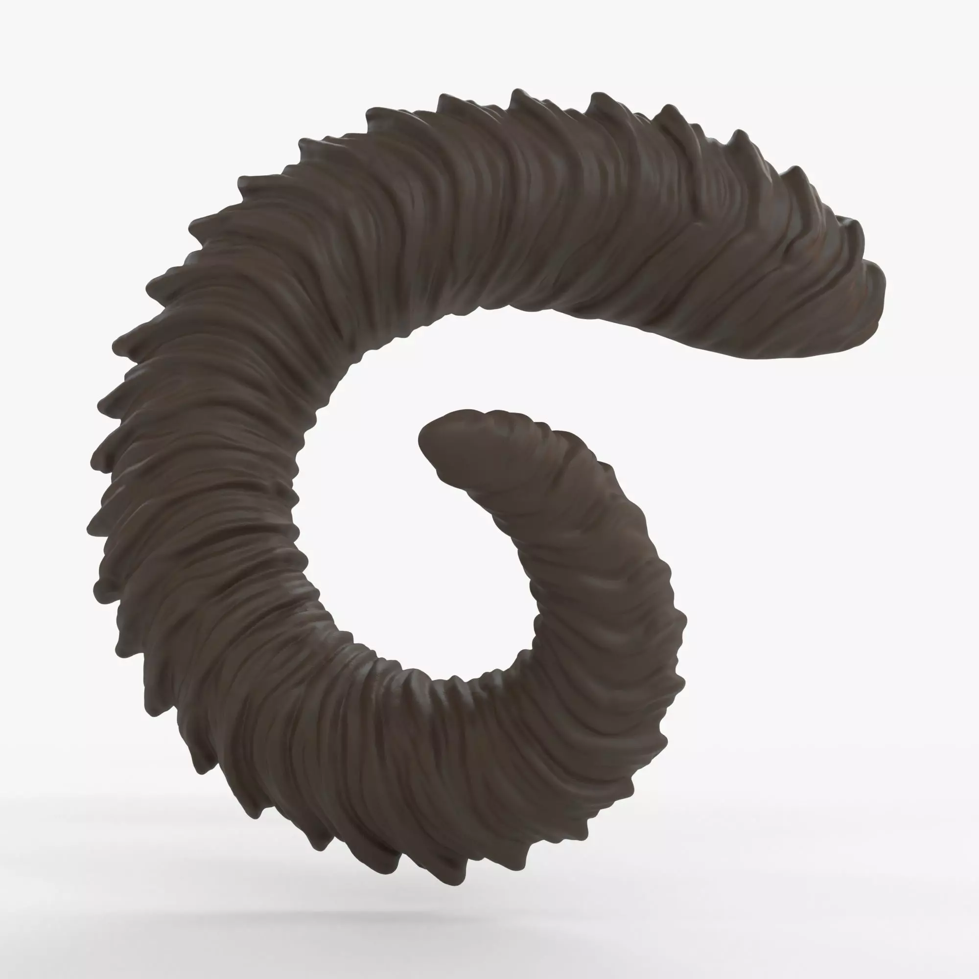 Large Curled Horns - Cadence 3D print model
